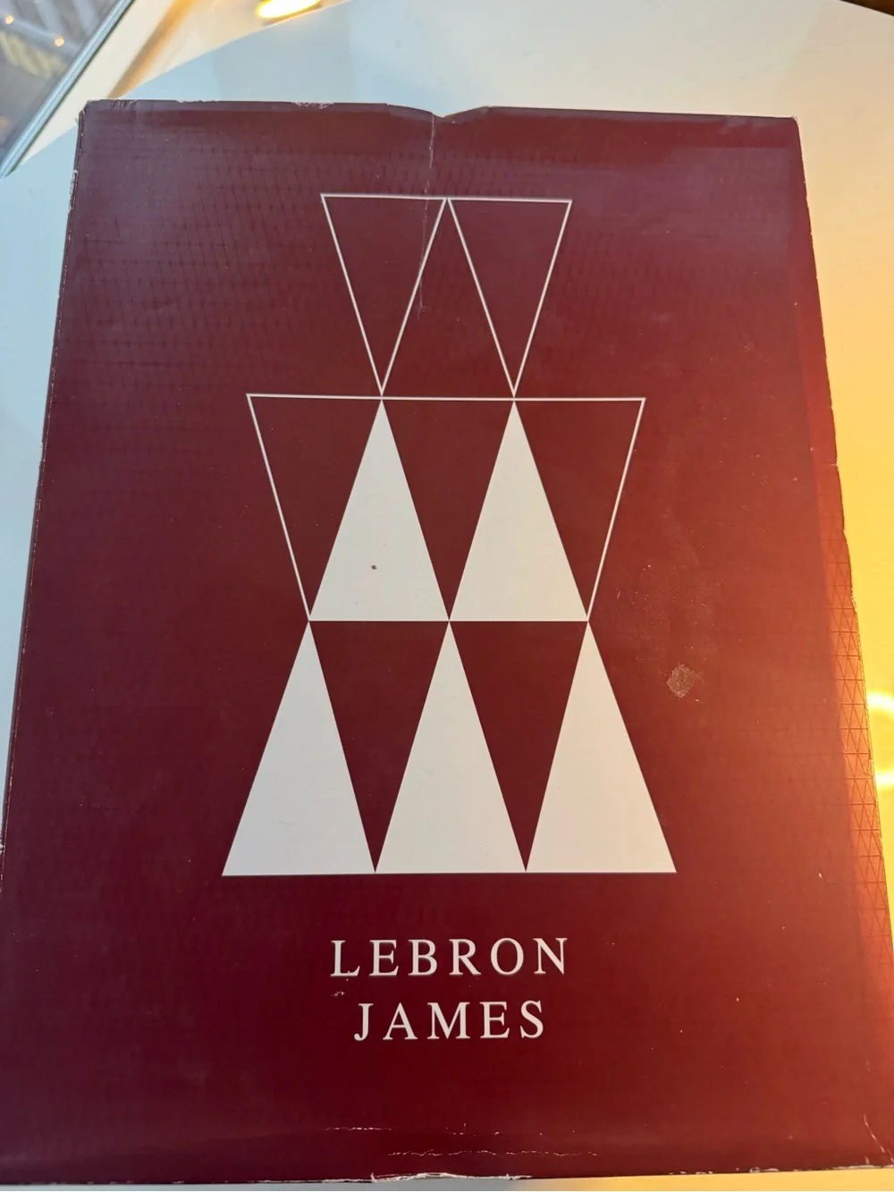 Nike LeBron James Soldier 10 - Black High-Top Sneakers with Multicolor Knit Coll